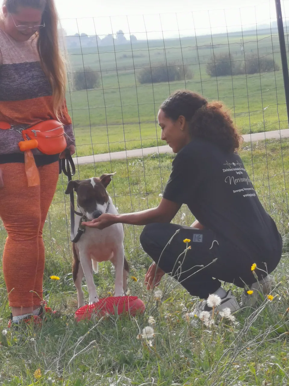 Jessica kniet neben einem Hund und hält ihm ruhig ihre Hand hin.